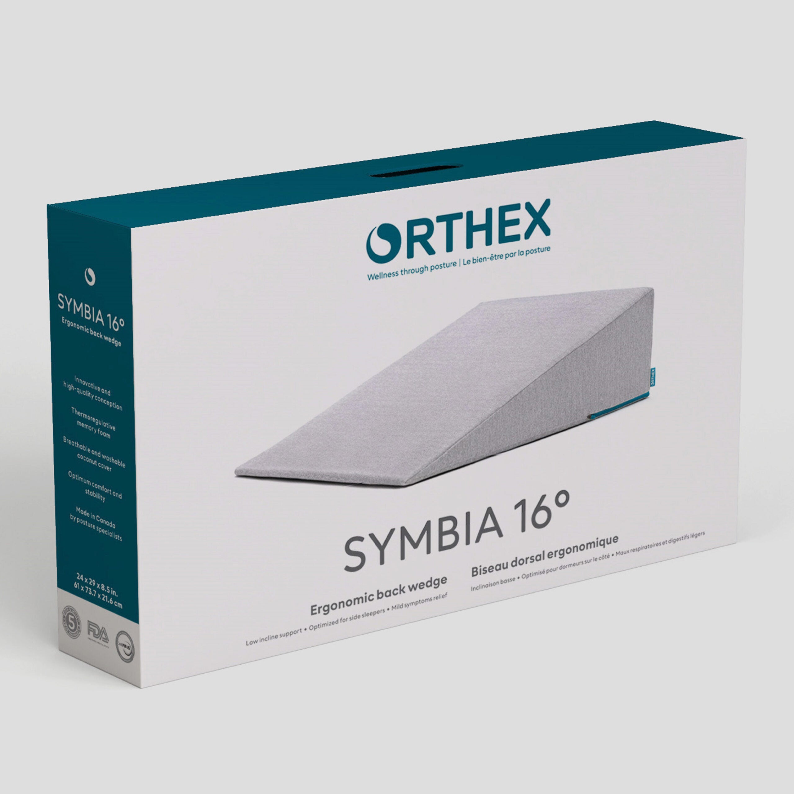 Orthex Symbia 16° - Biseau Dorsal